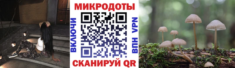 Галлюциногенные грибы Psilocybine cubensis  купить закладку  Холмск 